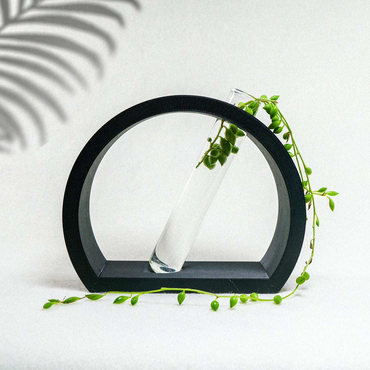 Half-Moon Propagation, photo 10 of 13