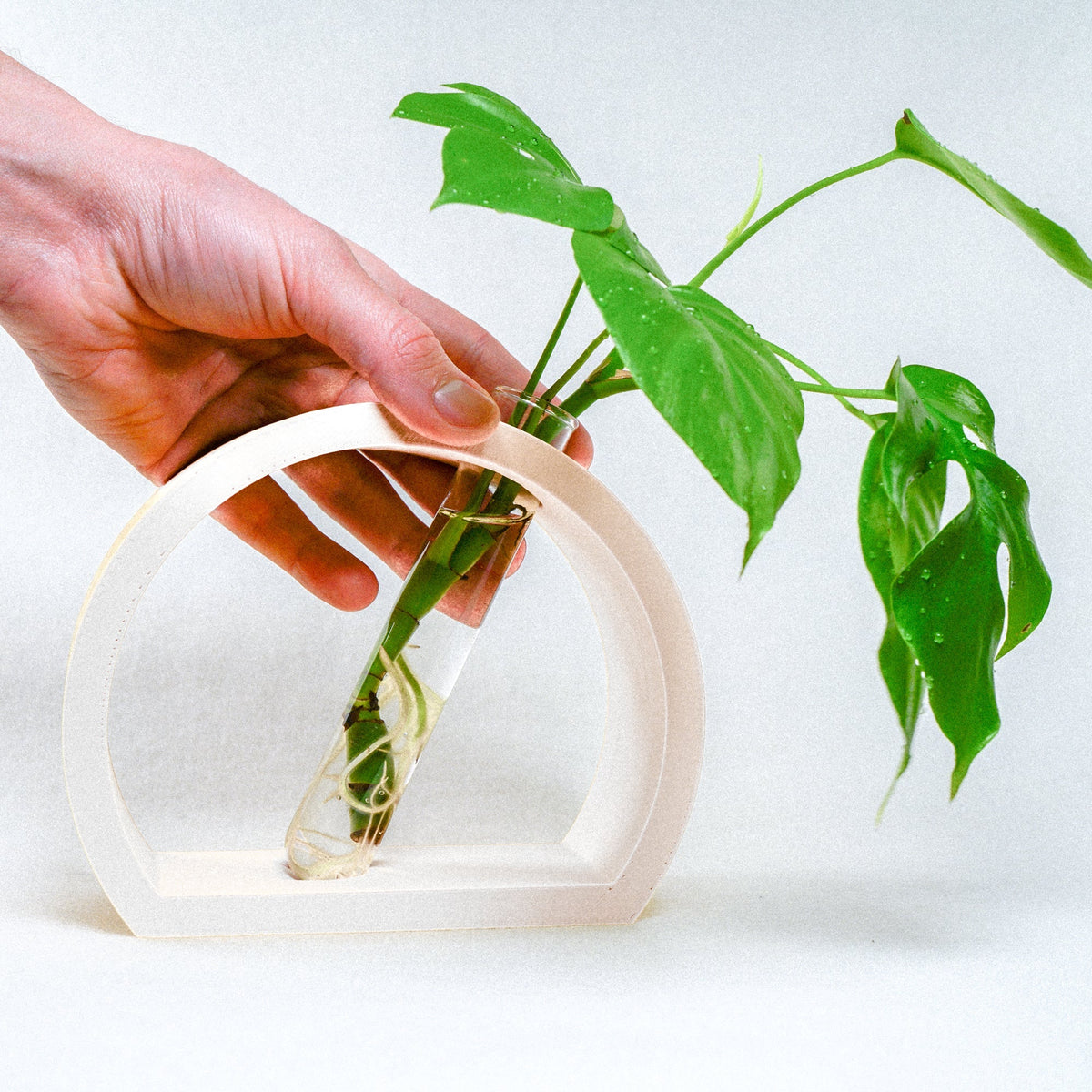Half-Moon Propagation, photo 2 of 13