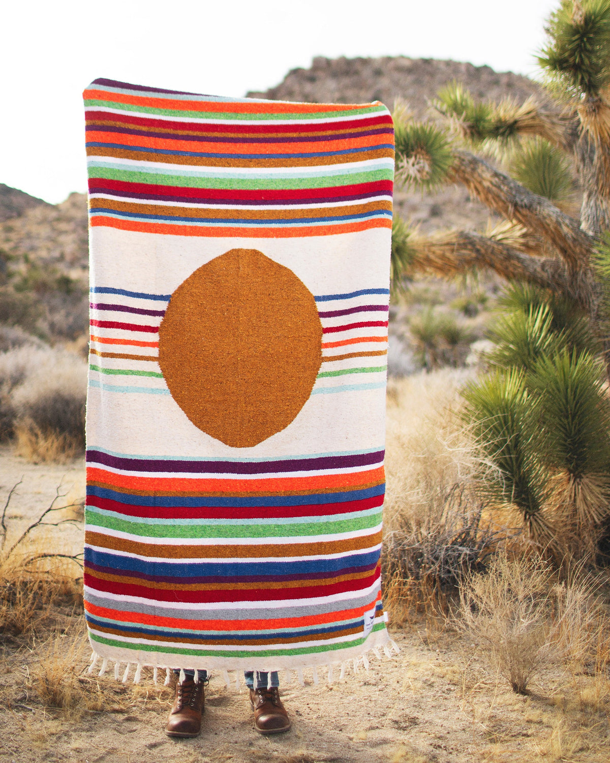 Halley's Comet Blanket, photo 9 of 12