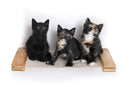 Hanging Cat Bed Hammock
