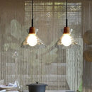 GobekUsa Clear Glass Pendant Lamp with LED Lights for Home Decor