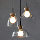GobekUsa Clear Glass Pendant Lamp with LED Lights for Home Decor