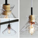 GobekUsa Clear Glass Pendant Lamp with LED Lights for Home Decor