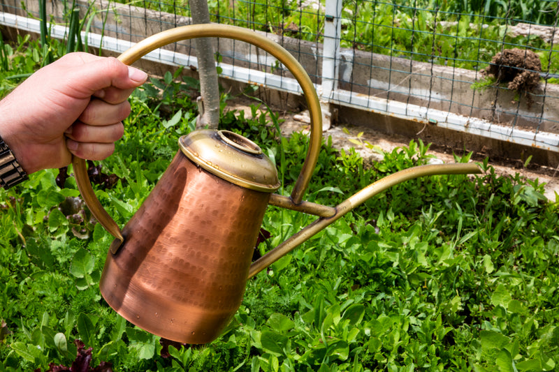 Hammered Conical Brass Watering Can