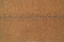 Hand Tufted Animal Lion Brown 2x3 Wool Area Rug