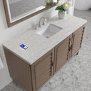 James Martin Portland 60" Single Bathroom Vanity, Whitewashed Walnut