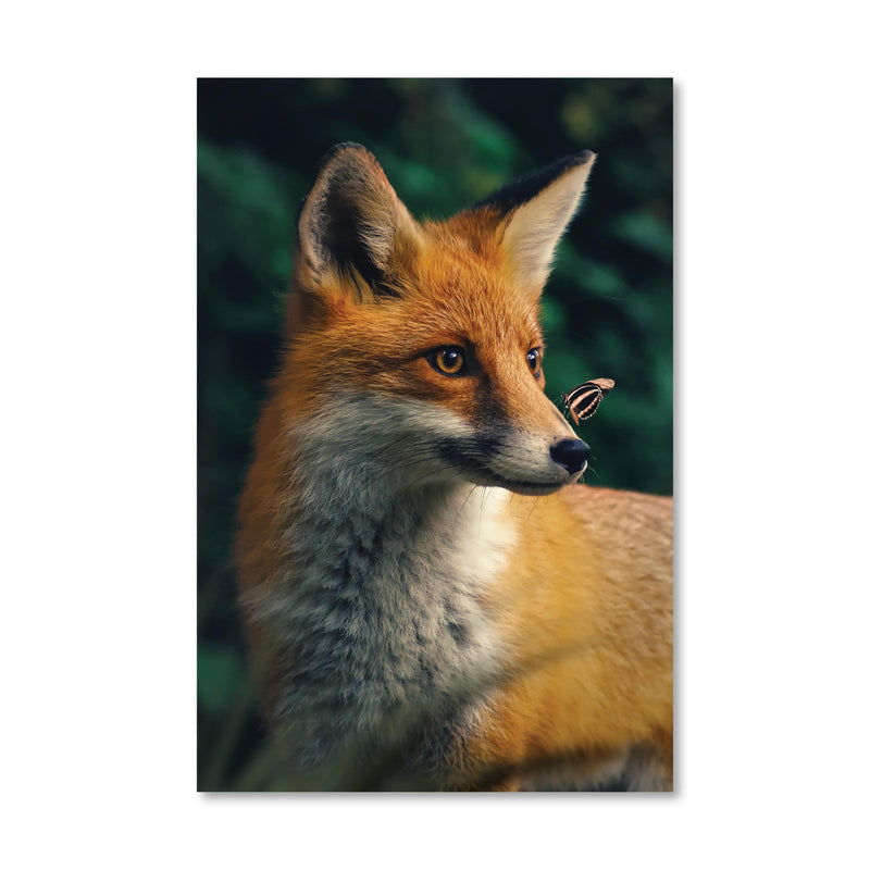 Happy Fox Canvas
