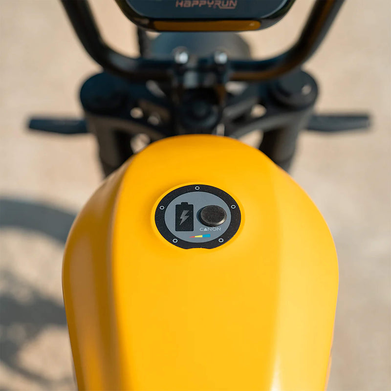 HappyRun G100 (G100 Pro) Long Distance Electric Fat Tire Bike Motorcycle (SAK95715)