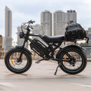 HappyRun G70 (G70 Pro) Long Distance Dual Battery Electric Fat Tire Cargo Bike (SAK81369)