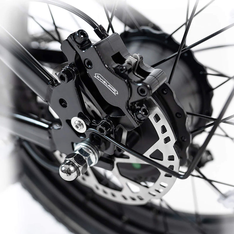 HappyRun G70 (G70 Pro) Long Distance Dual Battery Electric Fat Tire Cargo Bike (SAK81369)