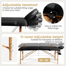 Portable Adjustable Facial Spa Bed with Carry Case by LJGDeals