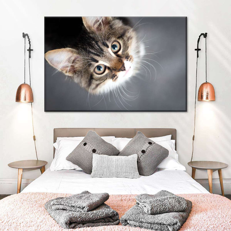 A Cat Wall Art