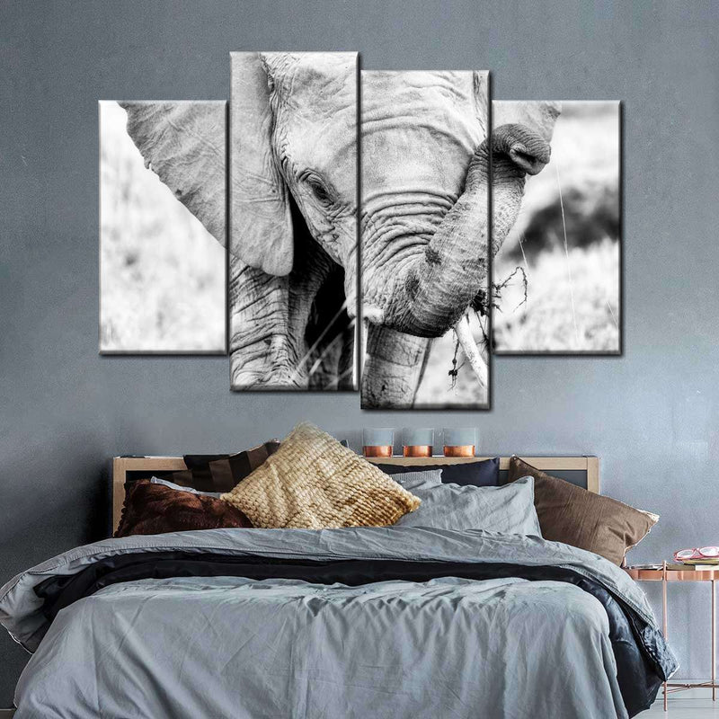 Kenyan Baby Elephant Wall Art