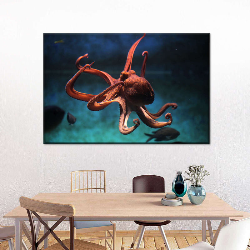 Octopus Vulgaris Wall Art