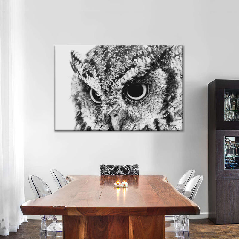 Staring Owl Wall Art