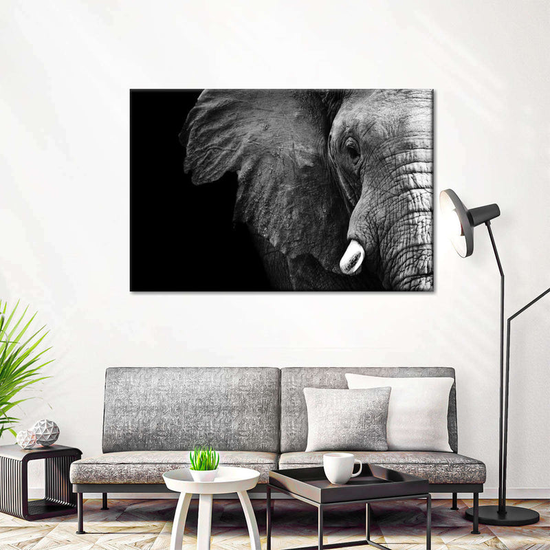 Wise Elephant Wall Art