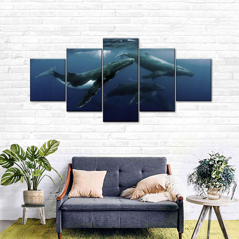 Humpback Whales Wall Art