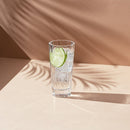 Hemingway Set of 4 High Ball Glasses