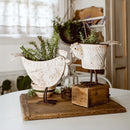 Indoor/Outdoor Distressed Hen Planter, Choose Your Style by Decor Steals