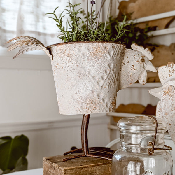 Indoor/Outdoor Distressed Hen Planter, Choose Your Style, photo 4 of 8