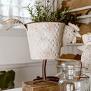 Indoor/Outdoor Distressed Hen Planter, Choose Your Style by Decor Steals