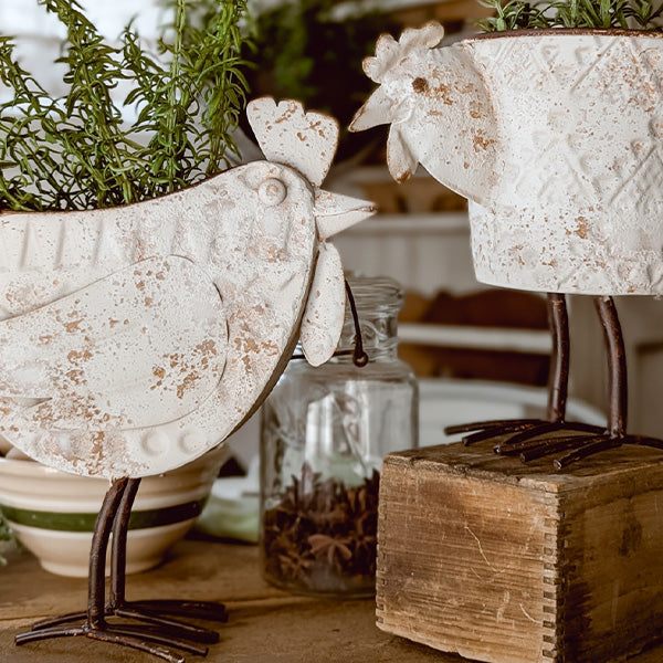 Indoor/Outdoor Distressed Hen Planter, Choose Your Style, photo 5 of 8