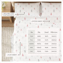 100% Turkish Cotton Flannel Sheet Sets - Boulder Collection by Great Bay Home