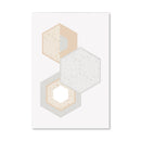 Hexa Abstract Canvas