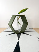 Hexagon Propagation Station