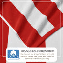 Cotton Velour Cabana Stripe Beach Towel - Novia Collection by Great Bay Home