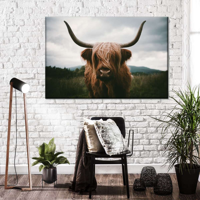 Open Field Highland Cow Wall Art