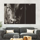 Black Angus Bull Wall Art