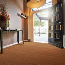 Custom Sized High Density Vinyl Backed Coco Mats