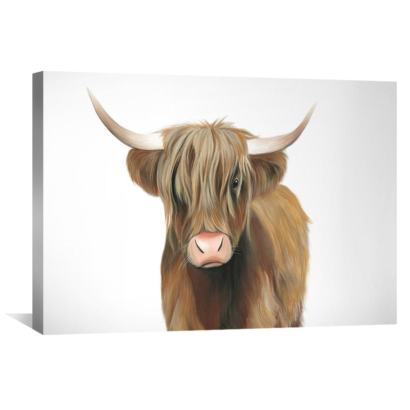 Highland Cattle Canvas