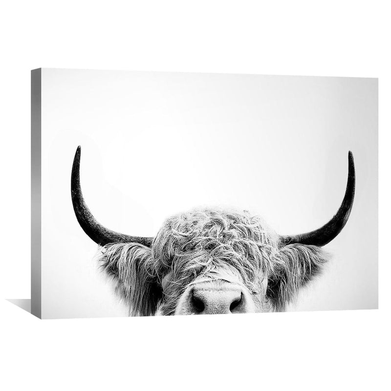 Highland Cow Nose Canvas