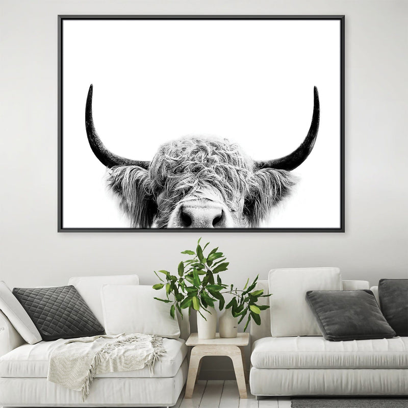 Highland Cow Nose Canvas