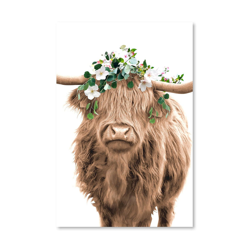 Highland Cow Portrait Canvas