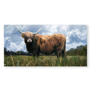 Highland Field Canvas