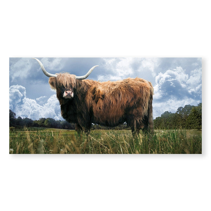 Highland Field Canvas