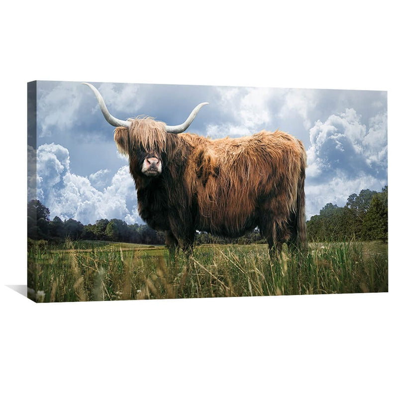 Highland Field Canvas