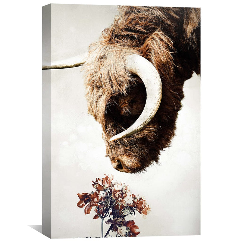 Highlander Canvas