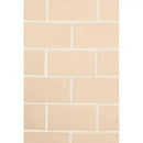 Caramel Glossy Subway Ceramic Tiles 3x6
