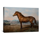 Horse on the Ranch Canvas