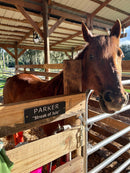 Custom Stall Signs 10 x 3 Inches