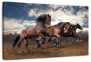 Free Running Horses Wall Art