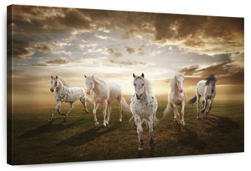 Dramatic White Horses Wall Art