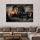 Clashing Wild Horses Wall Art