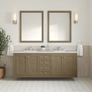 James Martin Chicago 72" Double Bathroom Vanity, Walnut Whisper