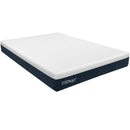 10 Inch Mattress with Jacquard Fabric Cover in a Box by LJGDeals
