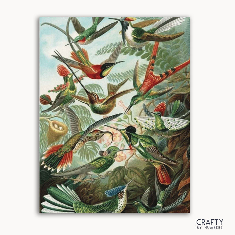 Hummingbirds - Ernst Haeckel
